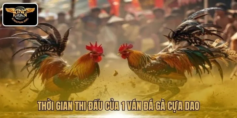 Thời gian thi đấu của 1 ván đá gà cựa dao